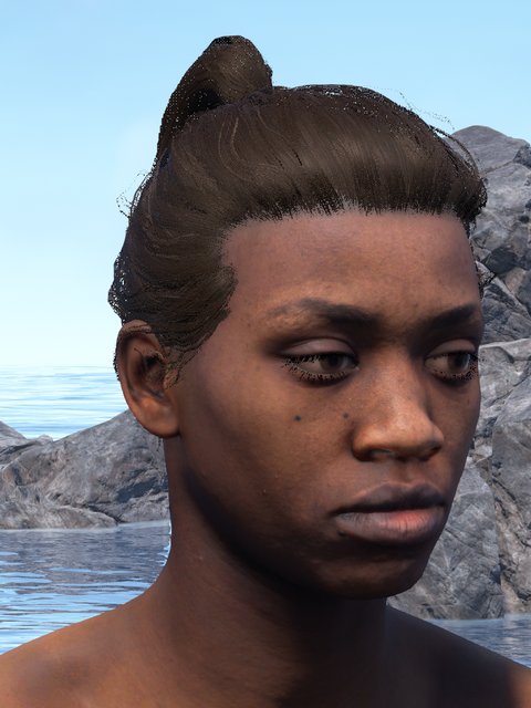 african female, ponytail