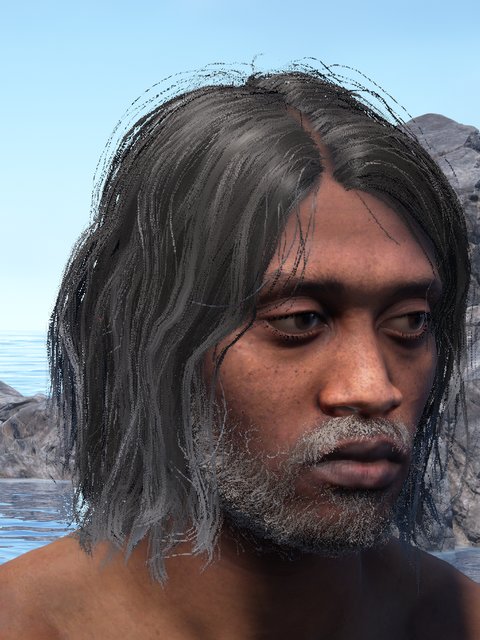 african male, mid-length hair, stubble