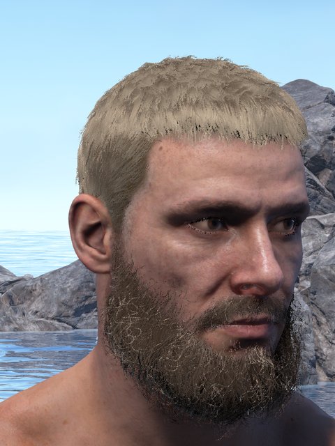 european male, crew cut, full beard